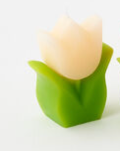 Tulip Candle, 5 Colors, 4"