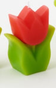 Tulip Candle, 5 Colors, 4"