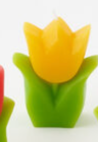 Tulip Candle, 5 Colors, 4"