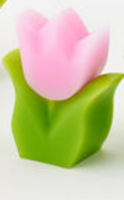 Tulip Candle, 5 Colors, 4"