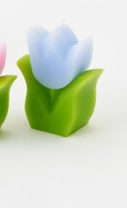 Tulip Candle, 5 Colors, 4"