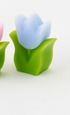 Tulip Candle, 5 Colors, 4"