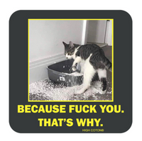 CAT THAT'S WHY COASTER