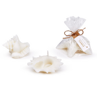 Seashell Decorative Candle - 3 Styles