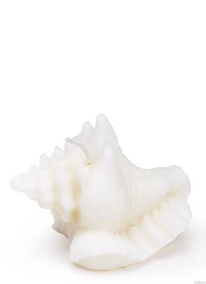 Seashell Decorative Candle - 3 Styles - A. Dodson's