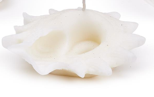 Seashell Decorative Candle - 3 Styles - A. Dodson's