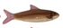 Hand-Painted Stoneware Fish Wall Décor, 4 Styles