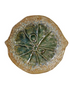 Stoneware Citrus Shaped Plate, 3 Colors