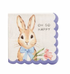 Easter Paper Napkin Sets