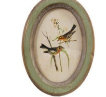 Wood Framed Glass Wall Decor with Birds & Botanicals
