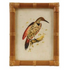 Wood Framed Glass Wall Decor with Birds & Botanicals