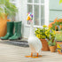 Goose Lashes Accessory Set For Giddy The Porch Goose
