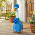 Blue Hydrangea For Giddy The Porch Goose