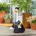 Graduation Day For Giddy The Porch Goose