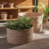 Burma Rattan Hampers With Handles, Set Of 2 - View 2