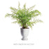 Column Footed Urn 11" - View 2