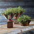 Galvanized Handkerchief Planter - View 3