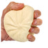 Squishy Dumplin' by Zorbitz - A. Dodson's