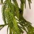 58" Natural Touch Norfolk Pine Garland–Realistic Fresh Touch
