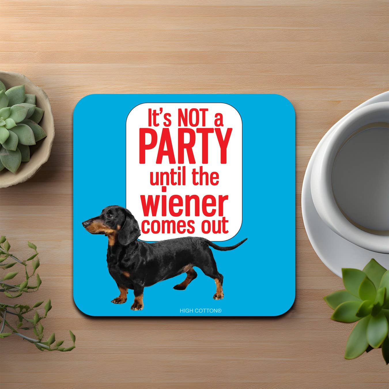 It's not a party until Coaster