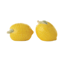 Stoneware Lemon Salt and Pepper Shakers, Set of 2