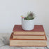 Stoneware Cup/Planter with Mushrooms (3"pot)