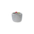 Stoneware Cup/Planter with Mushrooms (3"pot)