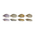 Stoneware Oyster Shell Shaped Dish, 4 Colors