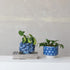Handmade Planter with 3D Fish (Holds 4" Pot) (Each Will Vary)