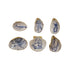 Decorative Resin Shell Shaped Dish with Sea Image, 6 Styles