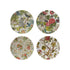 Printed Stoneware Plate w/ Botanicals, 4 Styles
