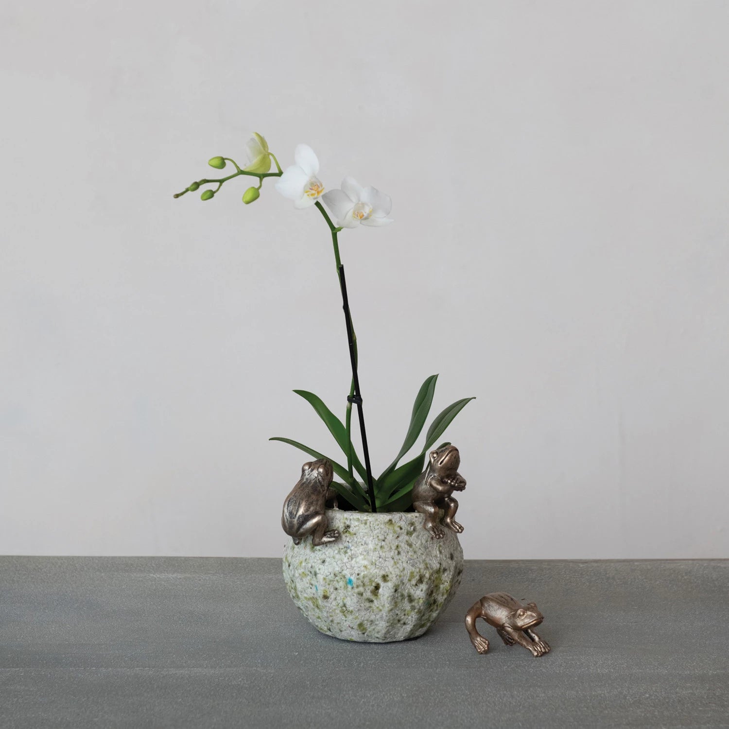 Resin Frog Pot Hanger, Distressed Gold Finish, 3 Styles