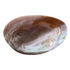 7"L x 4-1/4"W Decorative Natural Shell Footed Dish (Each One Will Vary)