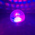 Disco Fever Bath Light - A. Dodson's