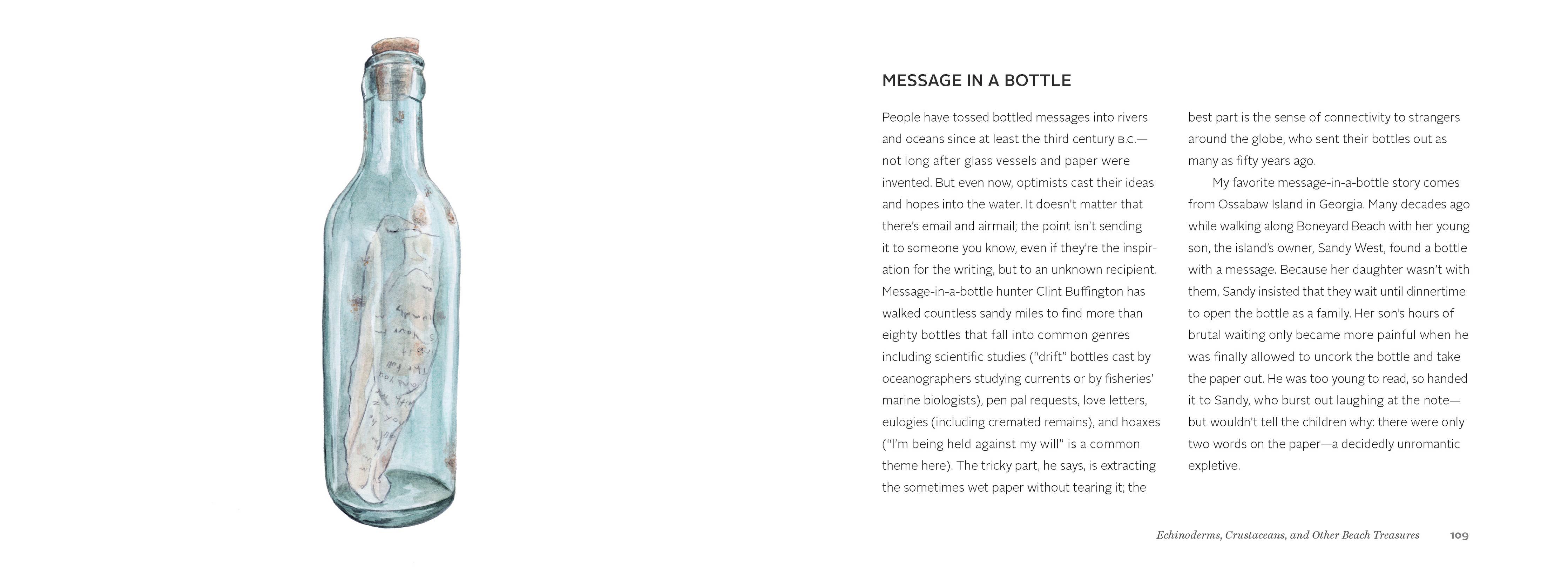 The Beachcomber's Companion