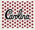 University of South Carolina 2 Swedish Cloth