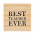 Best Teacher Ever Stud Earrings with Wood Gift Box by Santa Barbara Design Studio