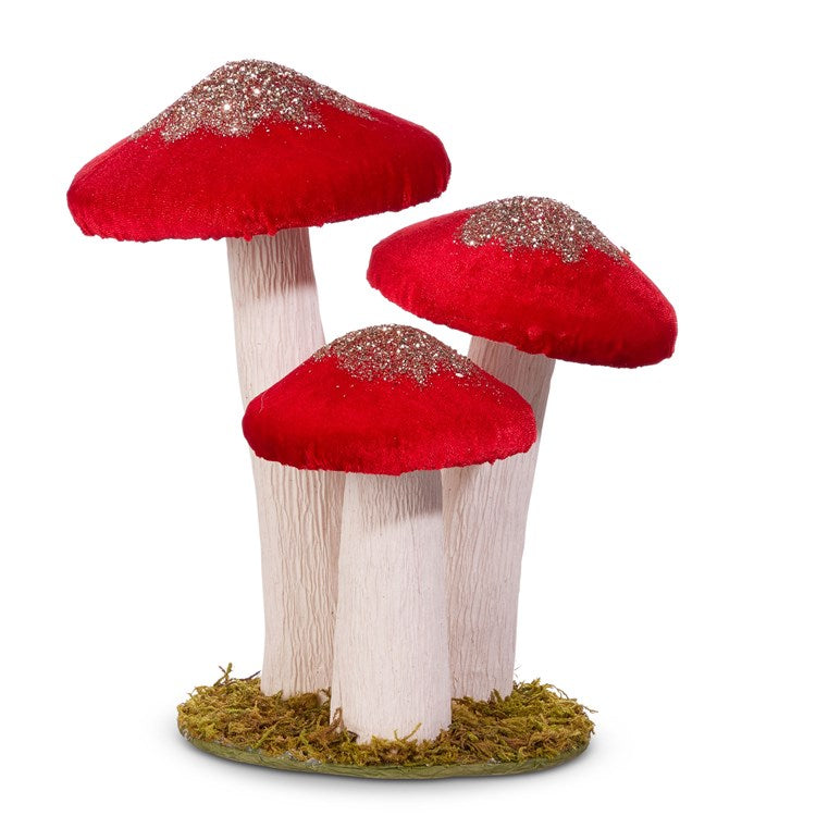 9.5 Red Mushroom Cluster