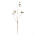 38" Champagne Butterfly Branch