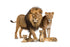 Simply Southern Lion Tracking Bracelets