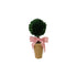 Dried Boxwood Tree in Terra-cotta Pot with Pink Velvet Bow by Creative Co-Op