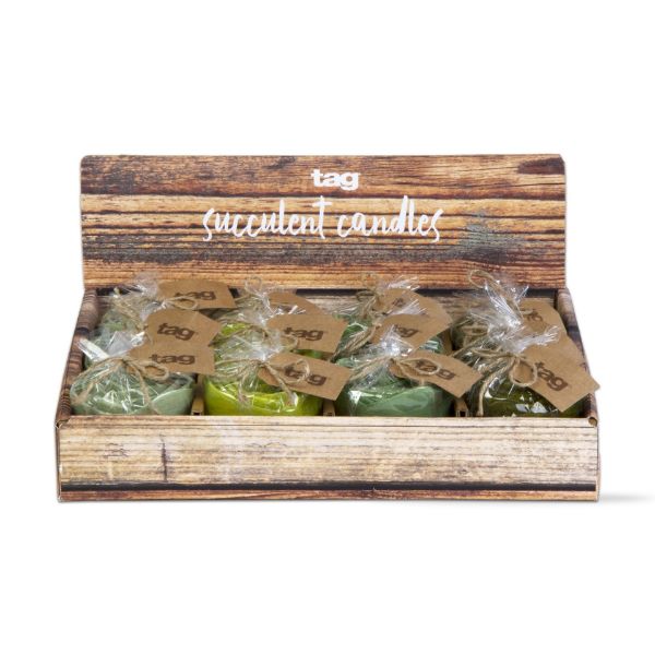 succulent candle - 4 colors