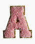 BUBBLY VARSITY LETTER PATCH - 26 ASST By Luna Fresa - A. Dodson's
