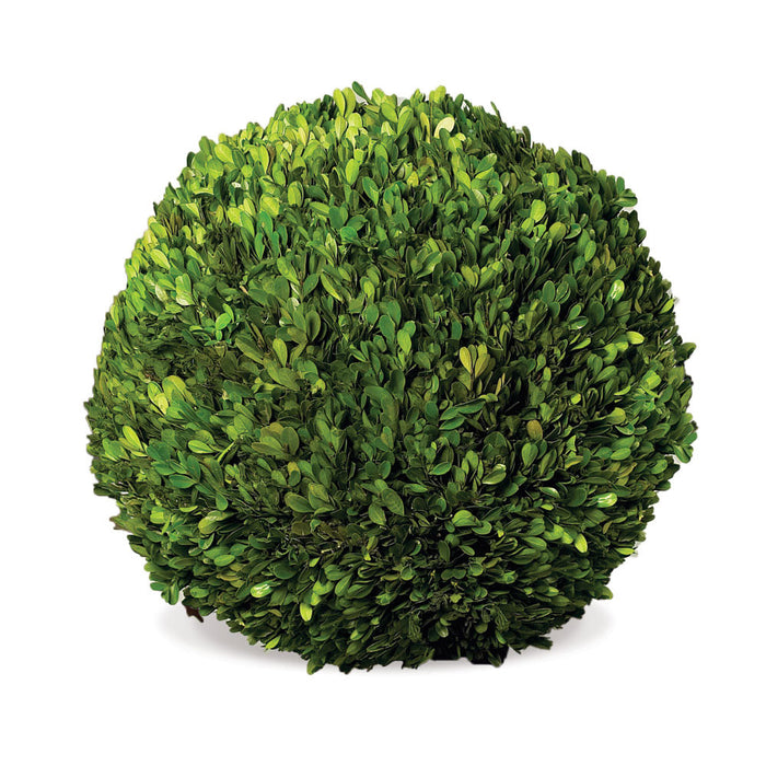 BOXWOOD BALL 16" BY NAPA HOME & GARDEN
