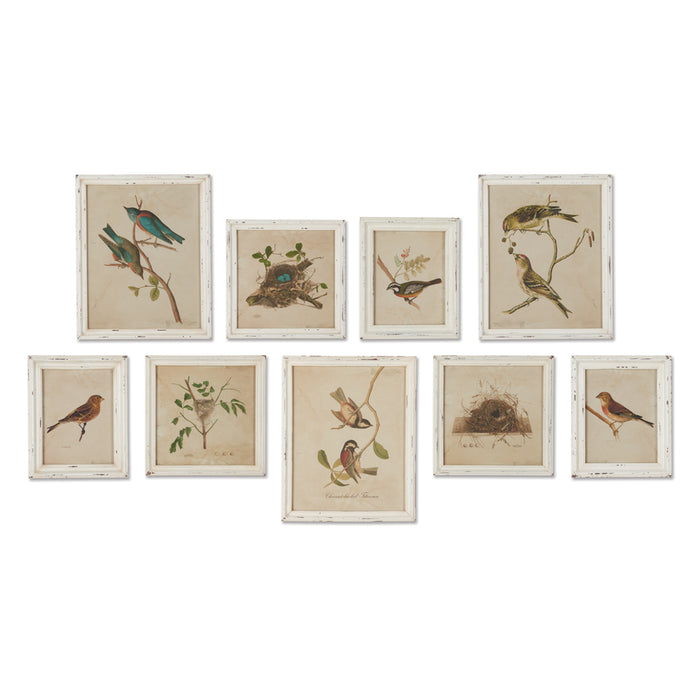 FRAMED AVIARY BIRD & NEST HABITAT PRINTS, SET OF 9 BY NAPA HOME & GARDEN