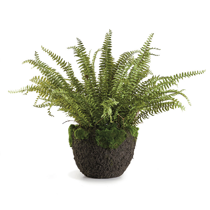 GRAND BOSTON FERN DROP-IN 30" BY NAPA HOME & GARDEN