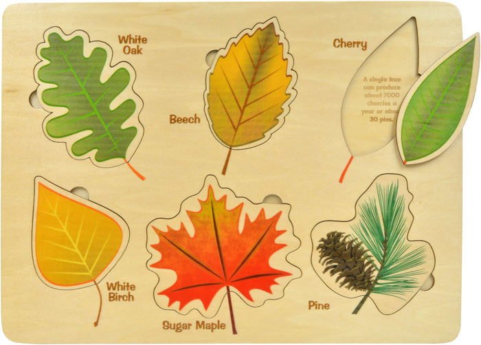 Lift & Learn Leaves Puzzle