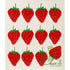 WET-IT! Strawberry Swedish Cloth - A. Dodson's