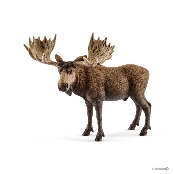 MOOSE BULL BY SCHLEICH - A. Dodson's