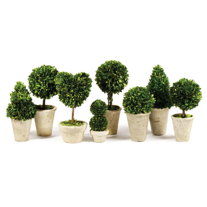 BOXWOOD TOPIARIES IN POTS, SET OF 8 BY NAPA HOME & GARDEN
